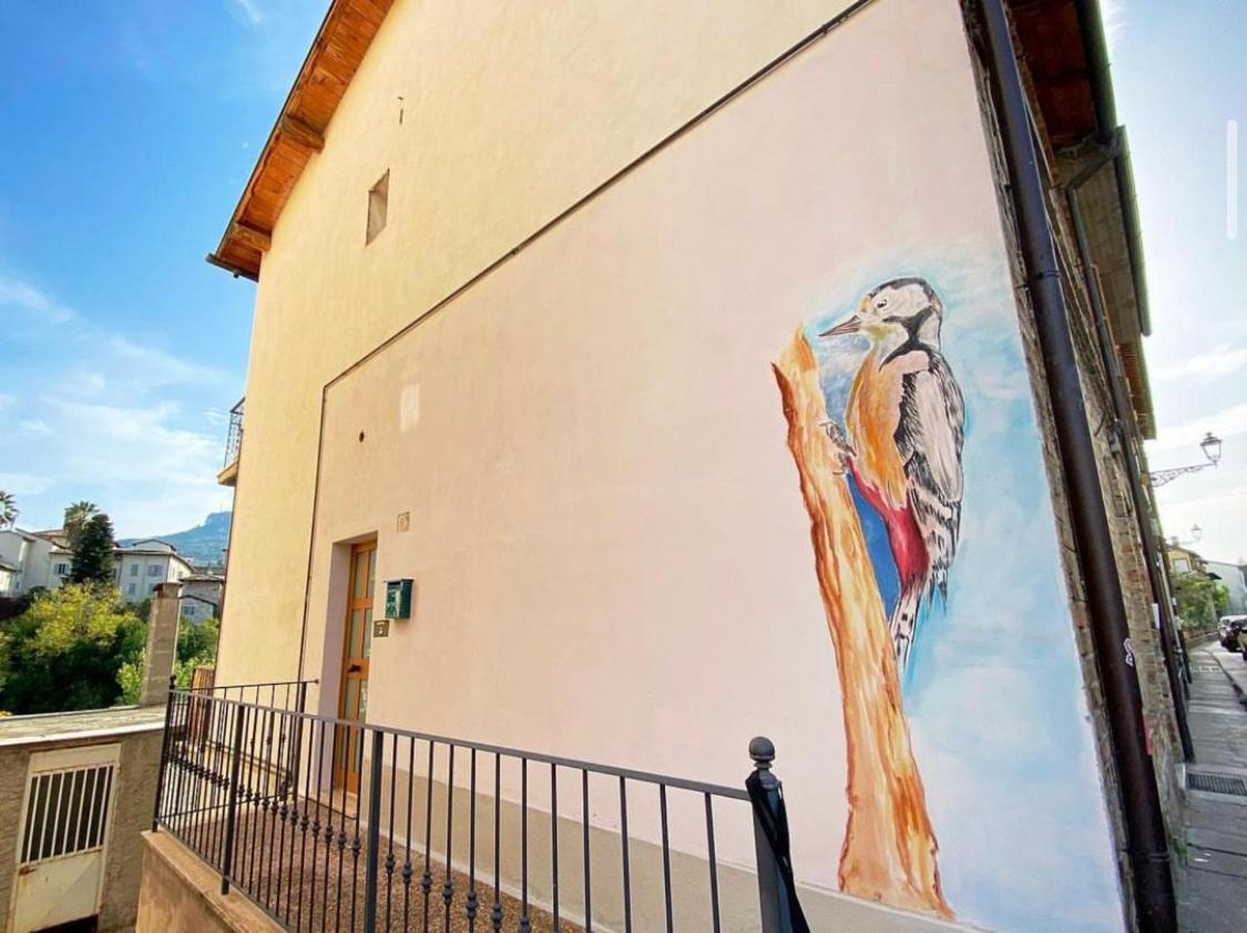 Mini Appartamento "Il Nido Del Picchio" Ascoli Piceno Exterior photo